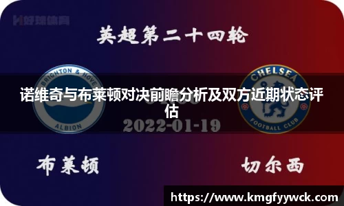 诺维奇与布莱顿对决前瞻分析及双方近期状态评估